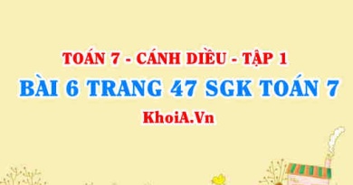 Bài 6 trang 47 SGK Toán 7 tập 1 Cánh Diều
